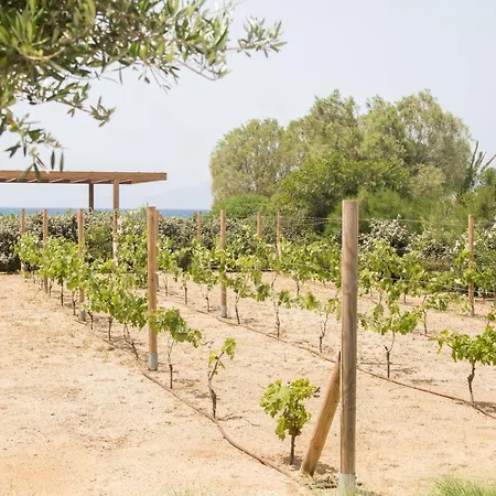 Willa Ammilia Naxos Pláka