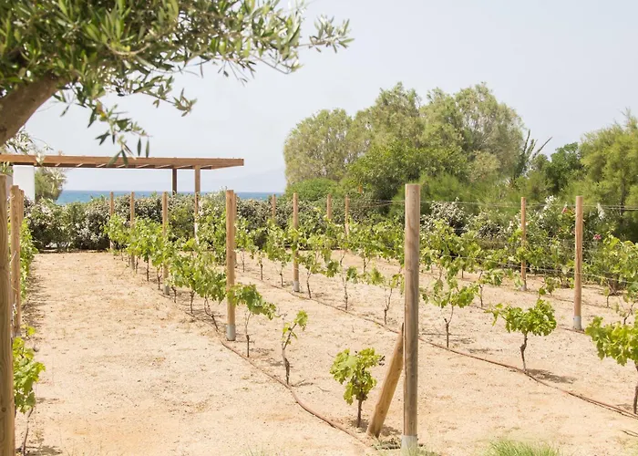 Villa Ammilia Naxos Pláka