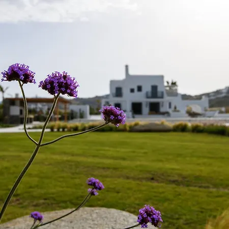 Ammilia Naxos Villa