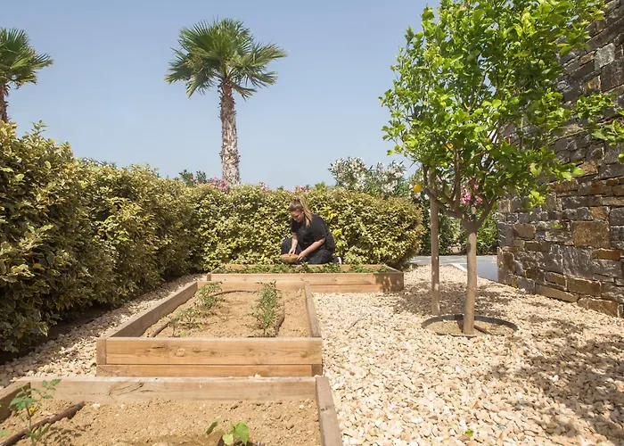 Ammilia Naxos Villa *